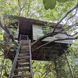 Superior Tree House on Safari Ride